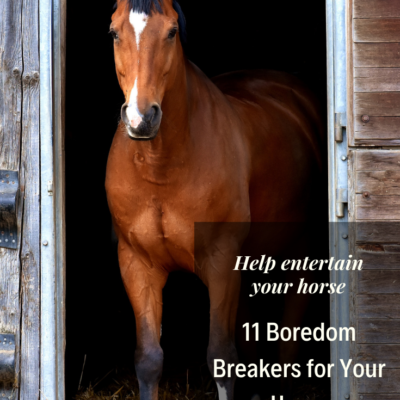 Toys For Horses – Satisfy a Bored Horse