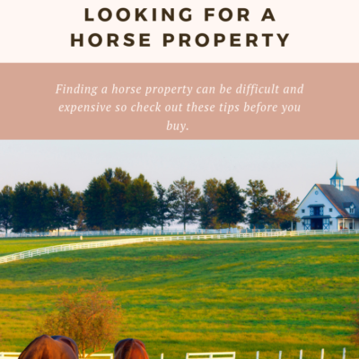 Buying a Horse Property: Things You Need to Know