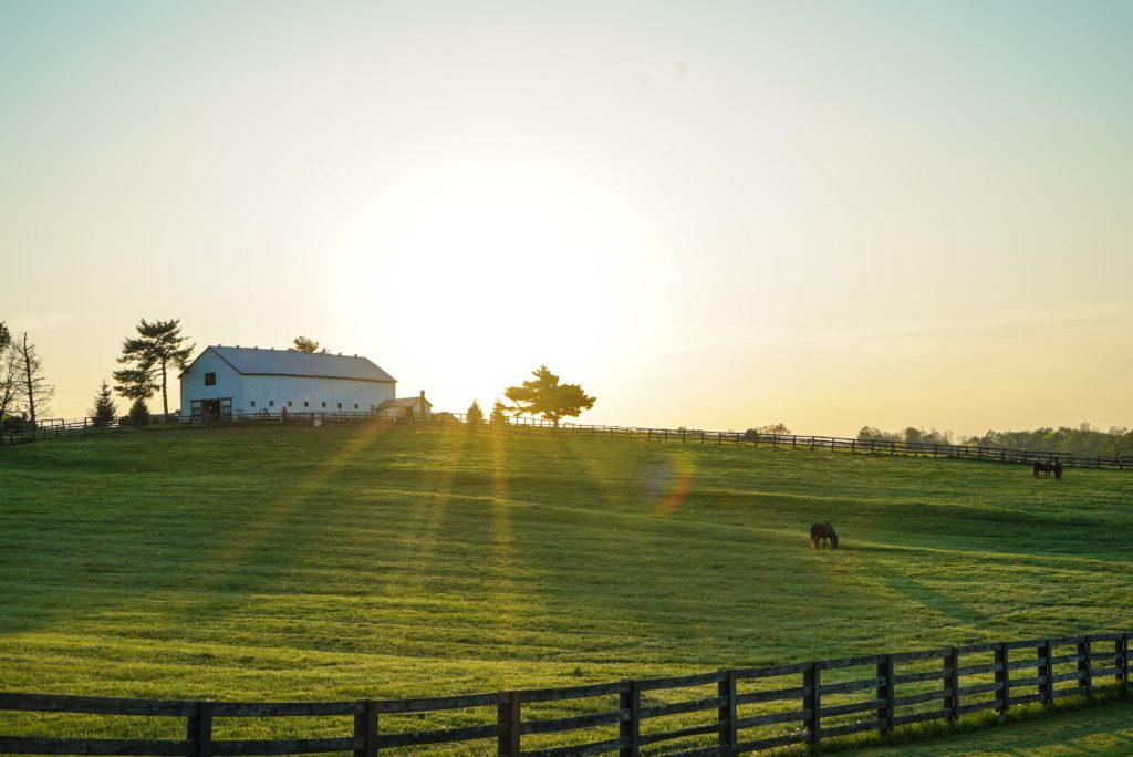 Acreage on horse property.  Beautiful horse pasture. 