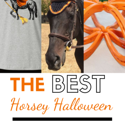 Fun Halloween Horse Items for Equestrians