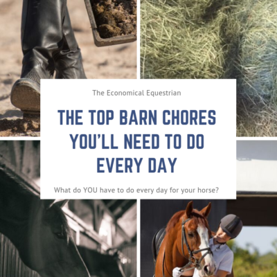 What Barn Chores Do You Need To Do Every Day? + Free Printable Barn Chores Checklist