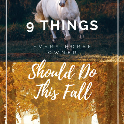 9 Things Every Horse Owner Should Do This Fall