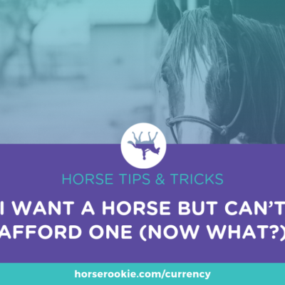 Guest Post: I Want a Horse But Can’t Afford One