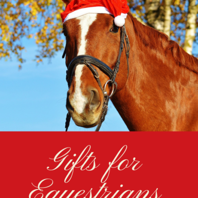 Find the Perfect Christmas Gifts for Equestrians