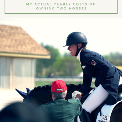 How Much Does a Horse Cost?  Learn How Much It Costs to Care For a Horse.