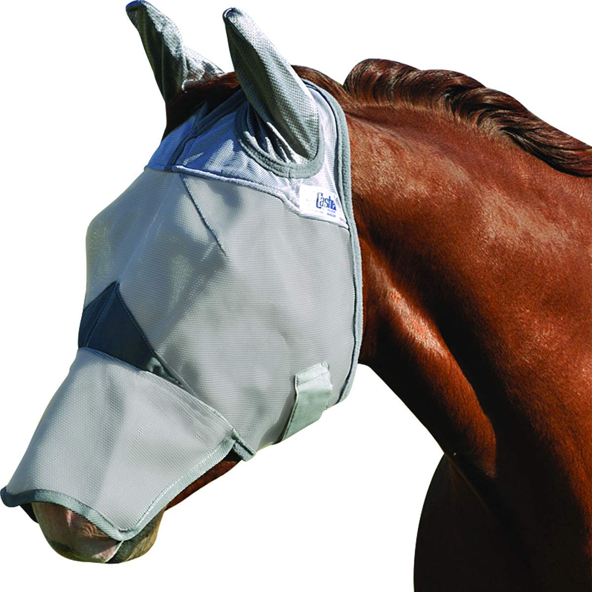 Sun Protection for Horses and Riders